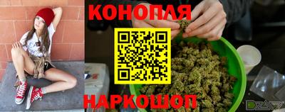 гидропоника Ижевск