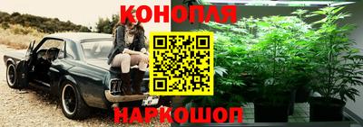 jwh Ивантеевка