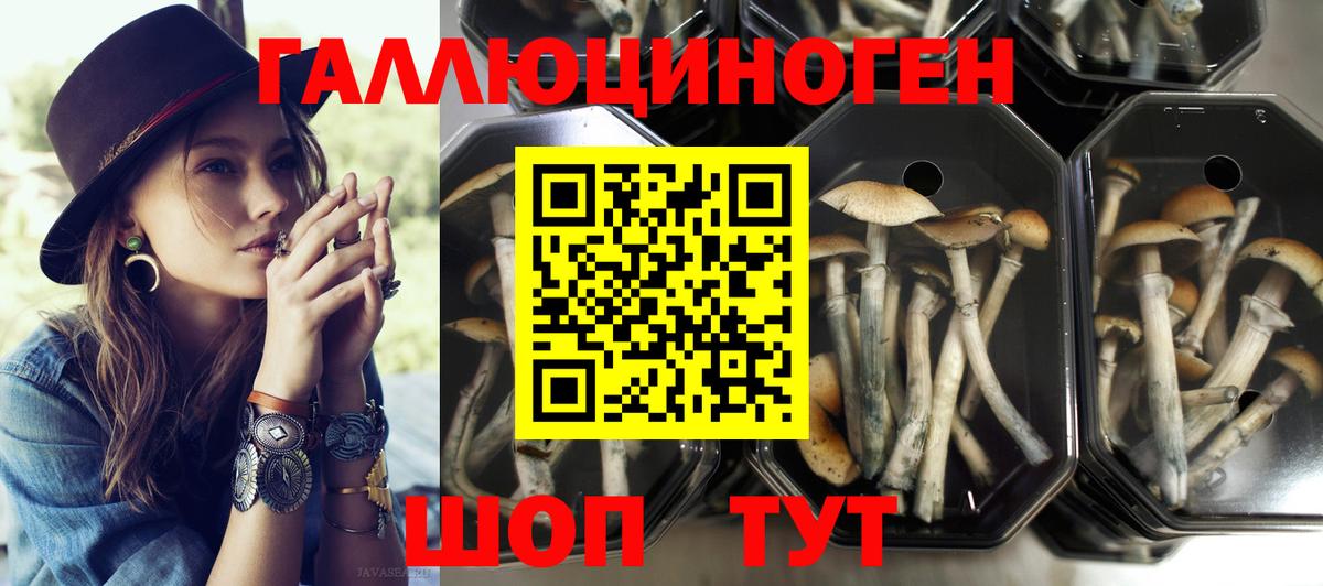 Гудермес  Галлюциногенные грибы мухоморы  Вход с VPN 